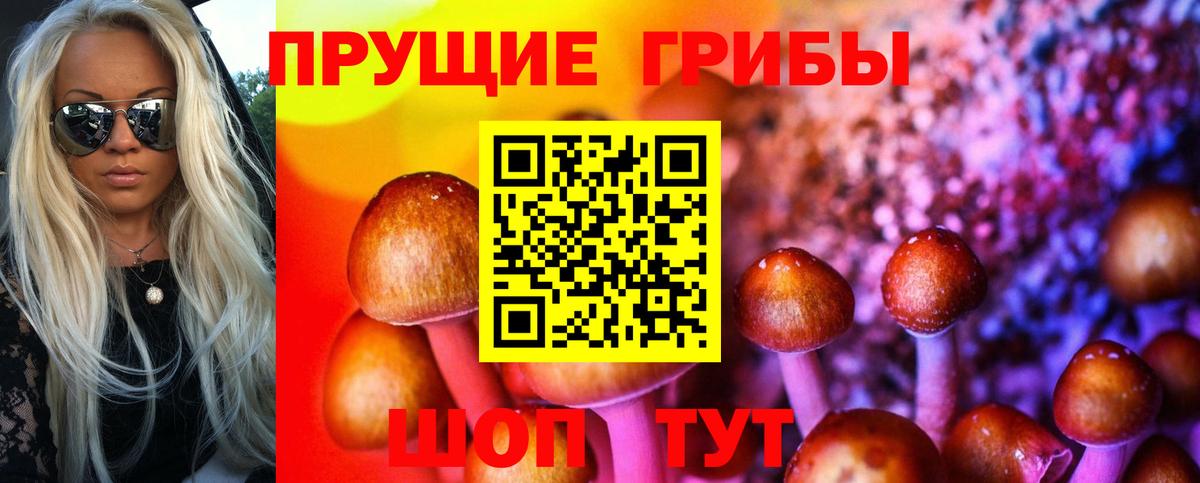 Галлюциногенные грибы Psilocybe Фролово
