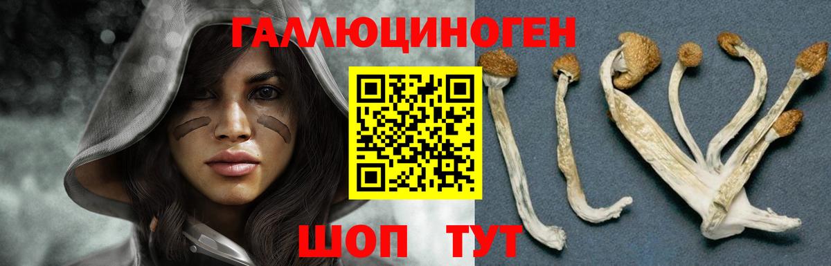 Галлюциногенные грибы Cubensis  Вход с VPN  Фролово 